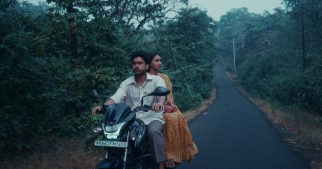 Songs the woods sing