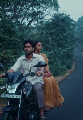 Songs the woods sing