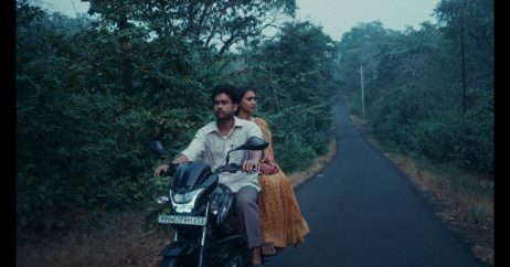 Songs the woods sing