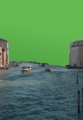 Le fond vert
